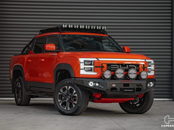 King series bull bar for BYD Shark 6 (2024 - Present)